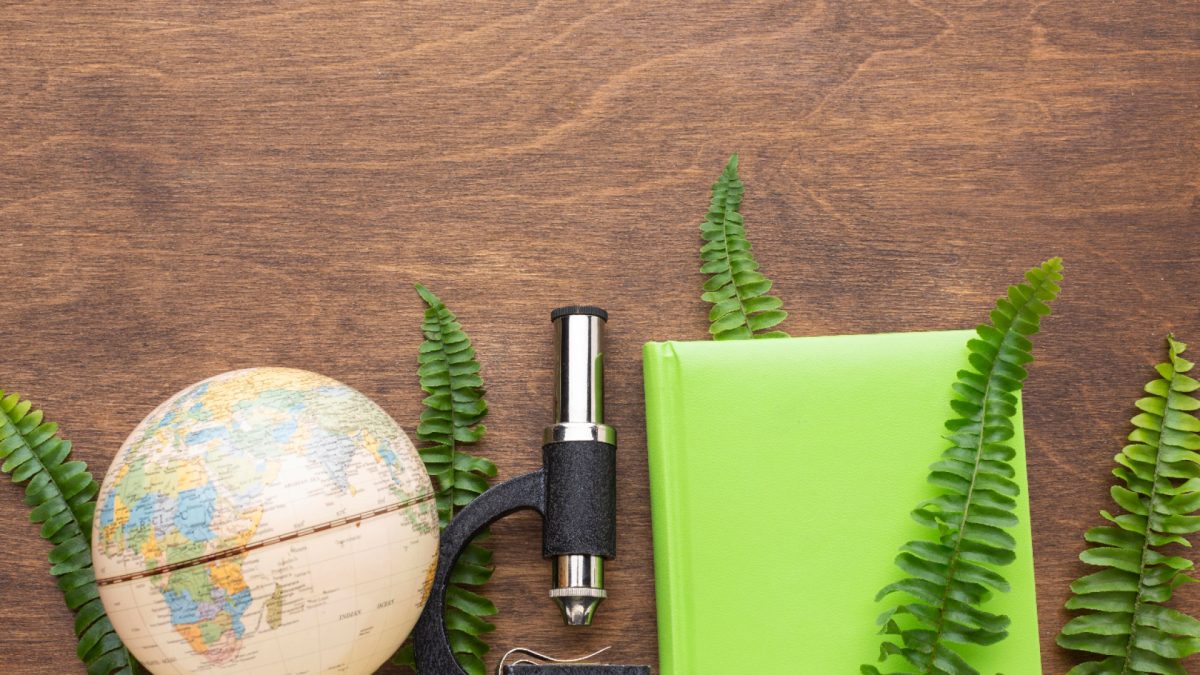 Comment choisir un institut spécialisé pour une formation en environnement ?