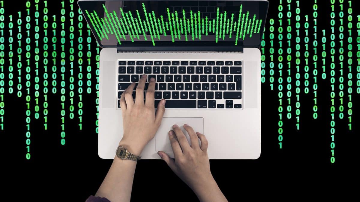 Licence Informatique à Lille : pour une carrière réussie en tech